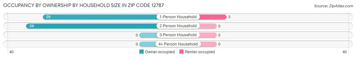 Occupancy by Ownership by Household Size in Zip Code 12787