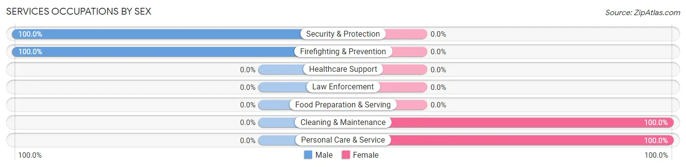 Services Occupations by Sex in Zip Code 12808