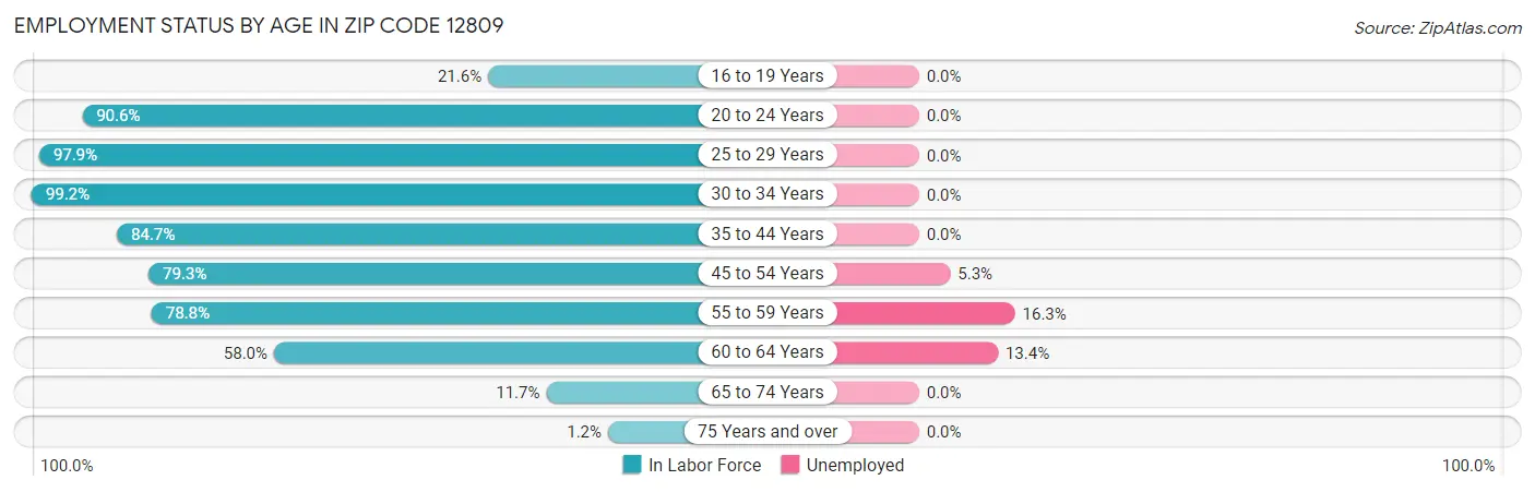 Employment Status by Age in Zip Code 12809