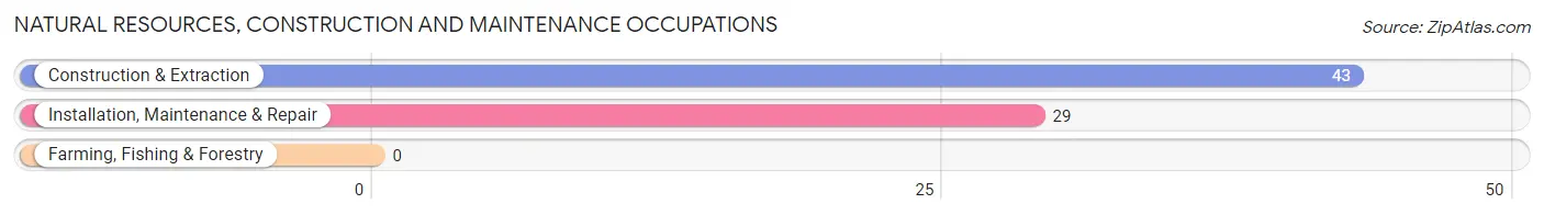 Natural Resources, Construction and Maintenance Occupations in Zip Code 12814