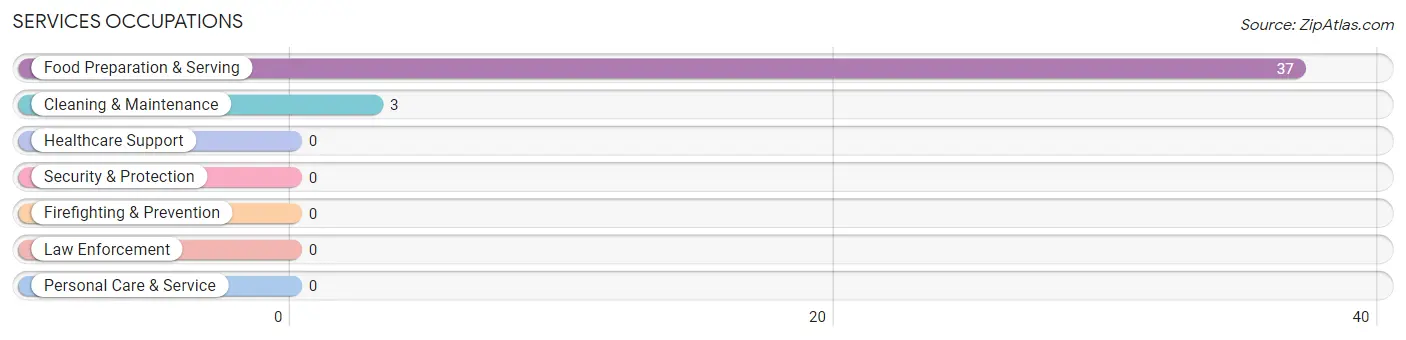 Services Occupations in Zip Code 12814