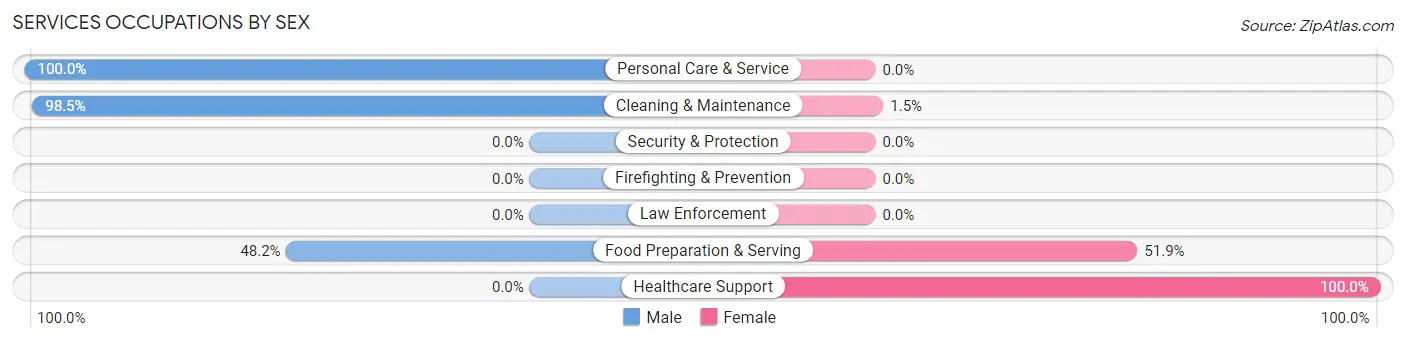 Services Occupations by Sex in Zip Code 12815
