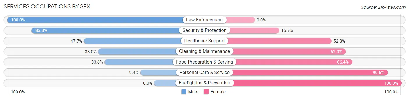 Services Occupations by Sex in Zip Code 12816