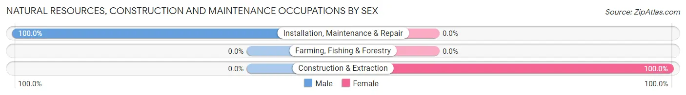 Natural Resources, Construction and Maintenance Occupations by Sex in Zip Code 12824