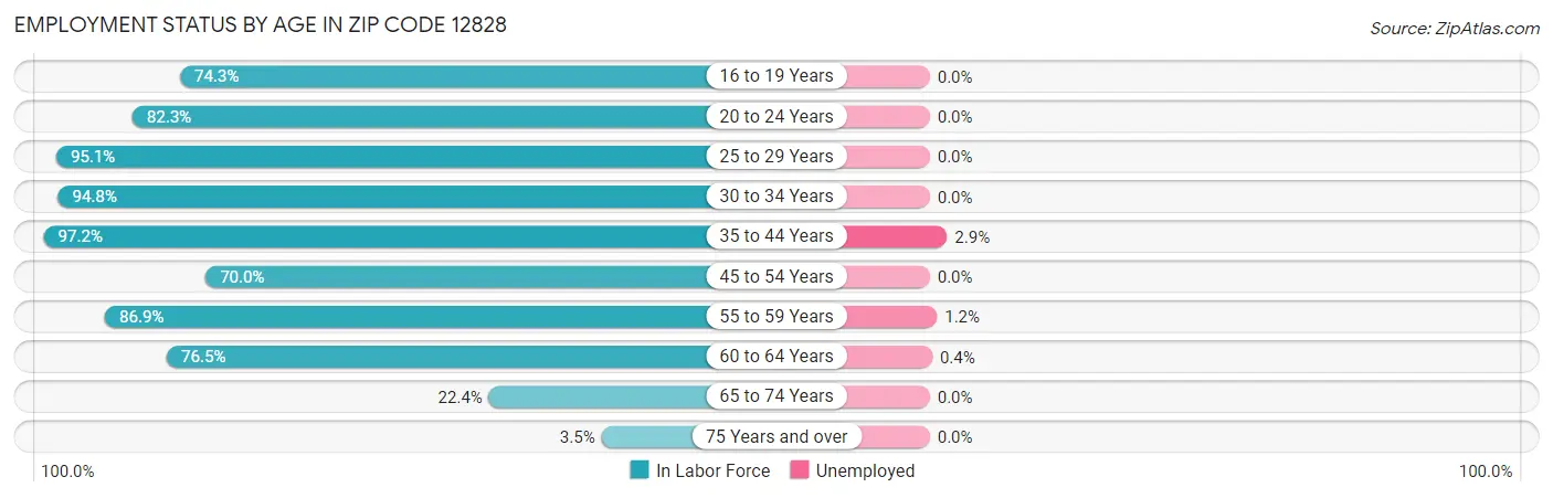 Employment Status by Age in Zip Code 12828