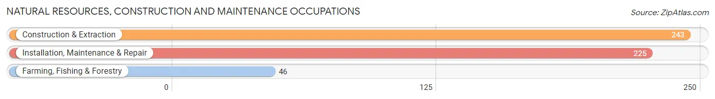 Natural Resources, Construction and Maintenance Occupations in Zip Code 12828