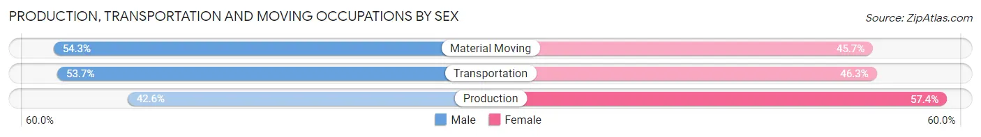 Production, Transportation and Moving Occupations by Sex in Zip Code 12835