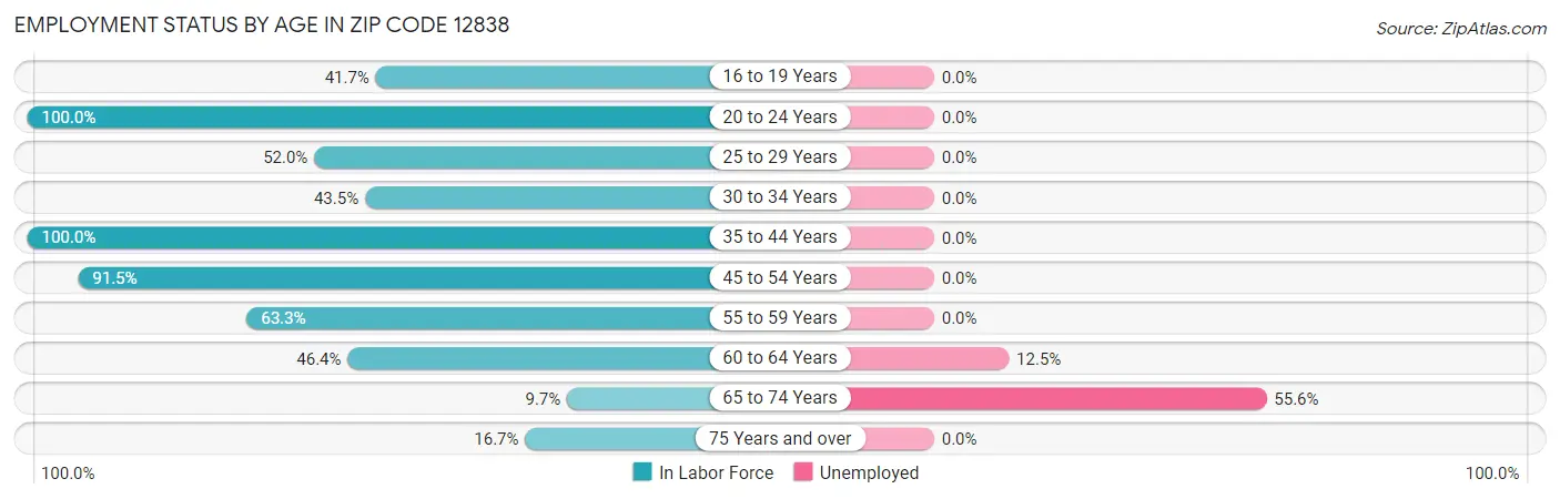 Employment Status by Age in Zip Code 12838