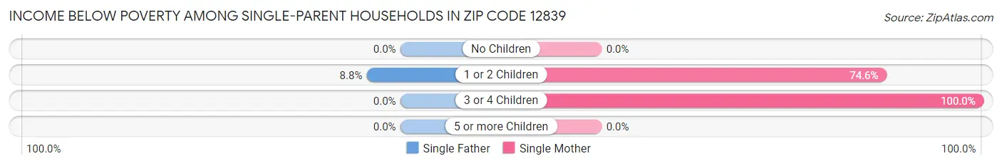 Income Below Poverty Among Single-Parent Households in Zip Code 12839