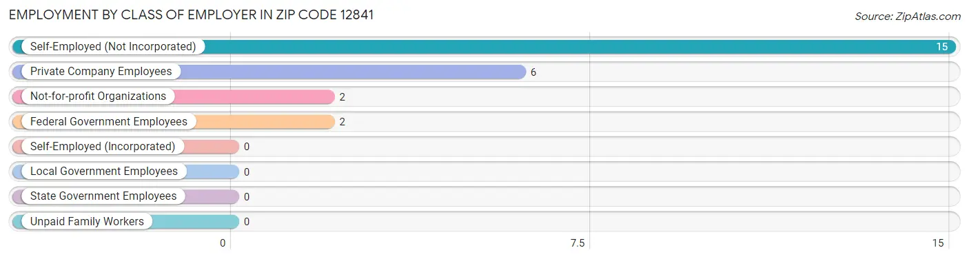 Employment by Class of Employer in Zip Code 12841