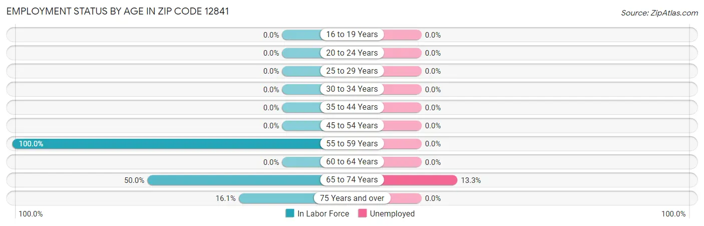 Employment Status by Age in Zip Code 12841