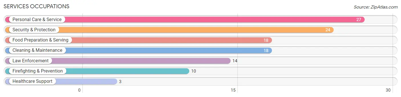 Services Occupations in Zip Code 12843