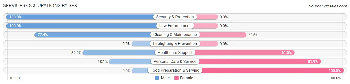 Services Occupations by Sex in Zip Code 12846