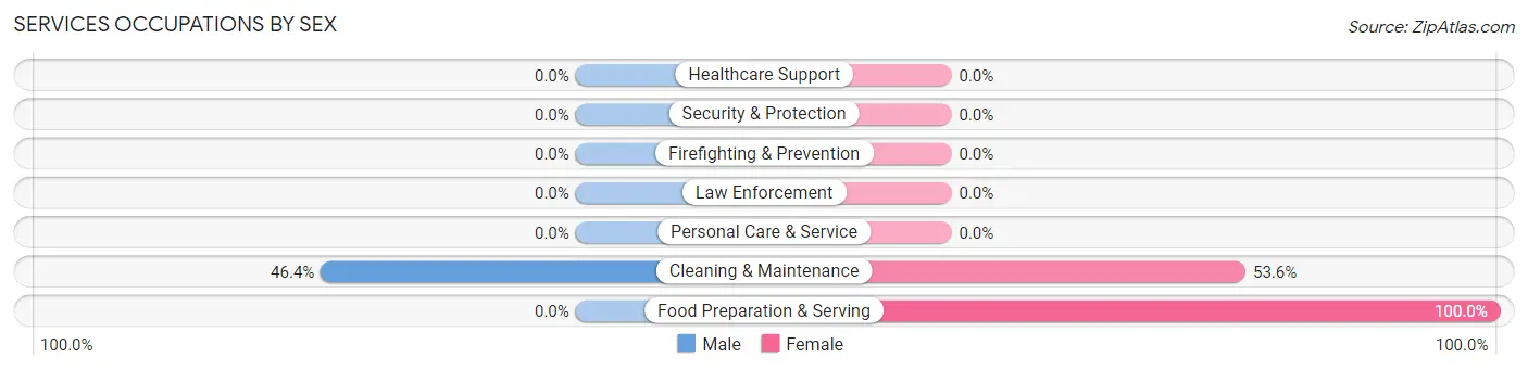 Services Occupations by Sex in Zip Code 12849