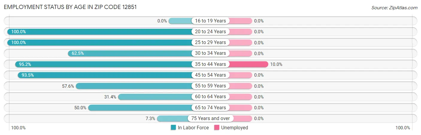 Employment Status by Age in Zip Code 12851