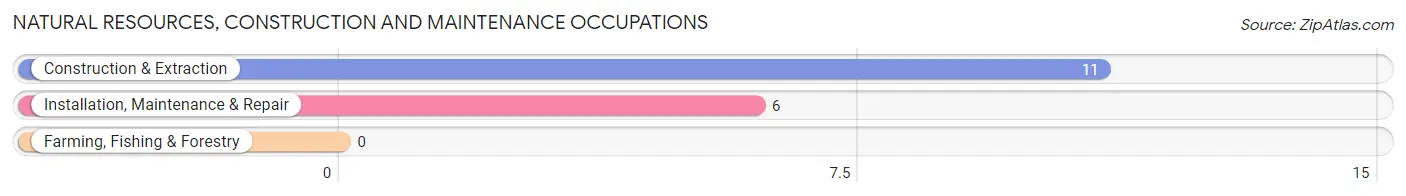 Natural Resources, Construction and Maintenance Occupations in Zip Code 12851