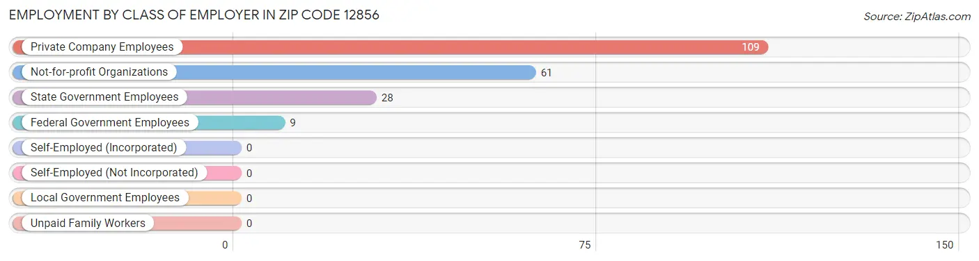 Employment by Class of Employer in Zip Code 12856