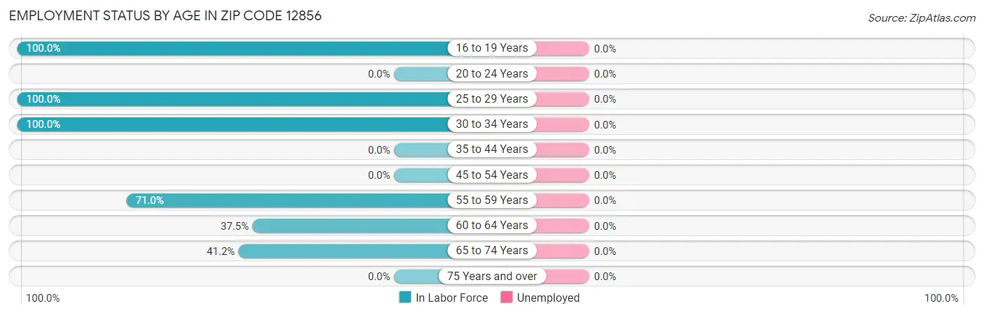 Employment Status by Age in Zip Code 12856