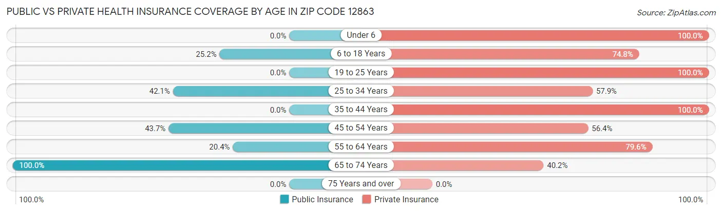 Public vs Private Health Insurance Coverage by Age in Zip Code 12863