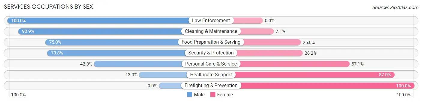 Services Occupations by Sex in Zip Code 12865
