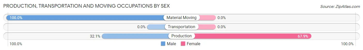 Production, Transportation and Moving Occupations by Sex in Zip Code 12873