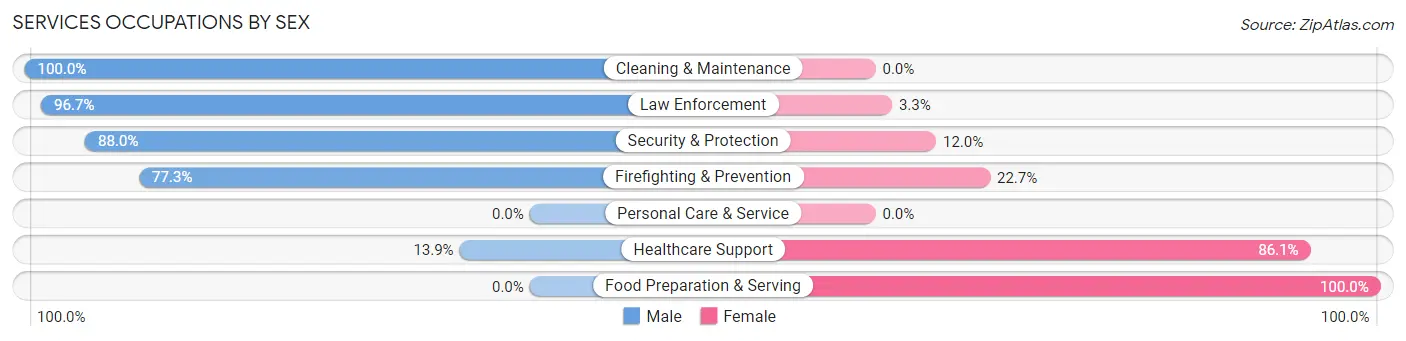 Services Occupations by Sex in Zip Code 12916