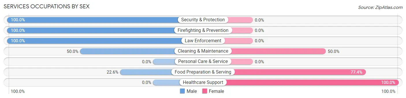 Services Occupations by Sex in Zip Code 12918