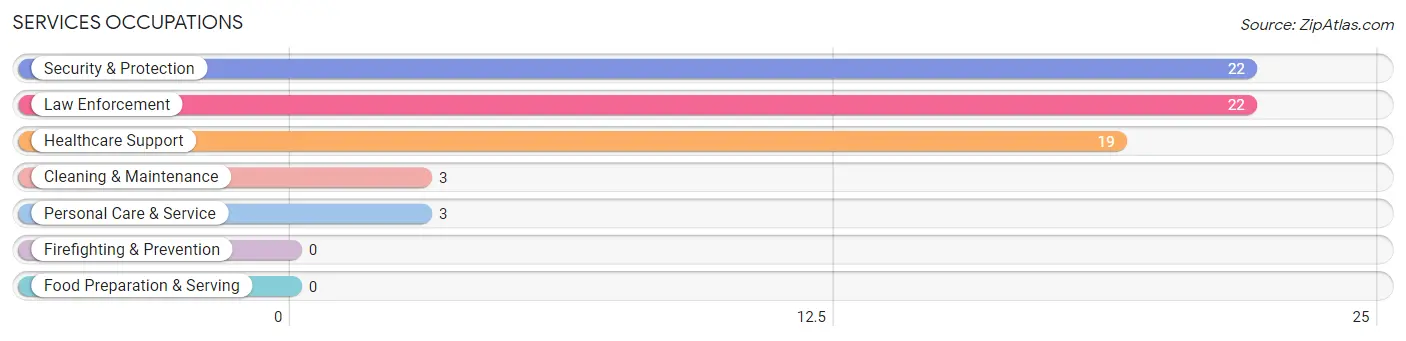 Services Occupations in Zip Code 12923