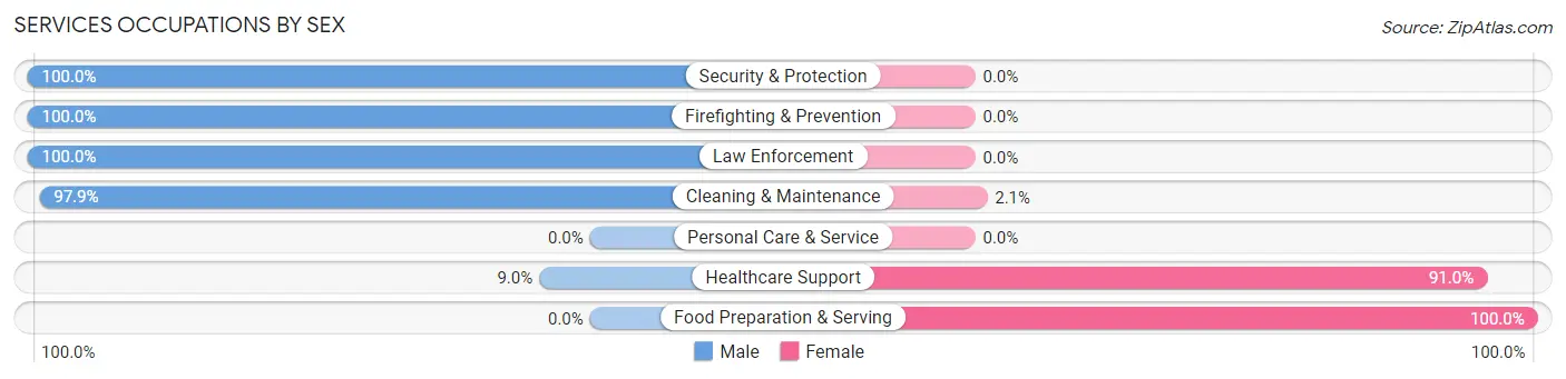 Services Occupations by Sex in Zip Code 12928