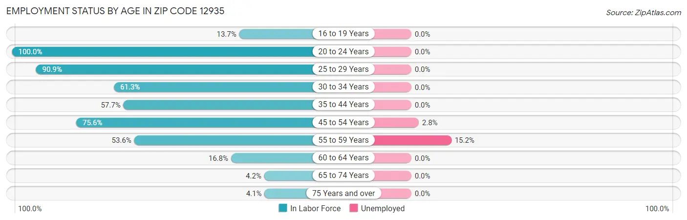 Employment Status by Age in Zip Code 12935