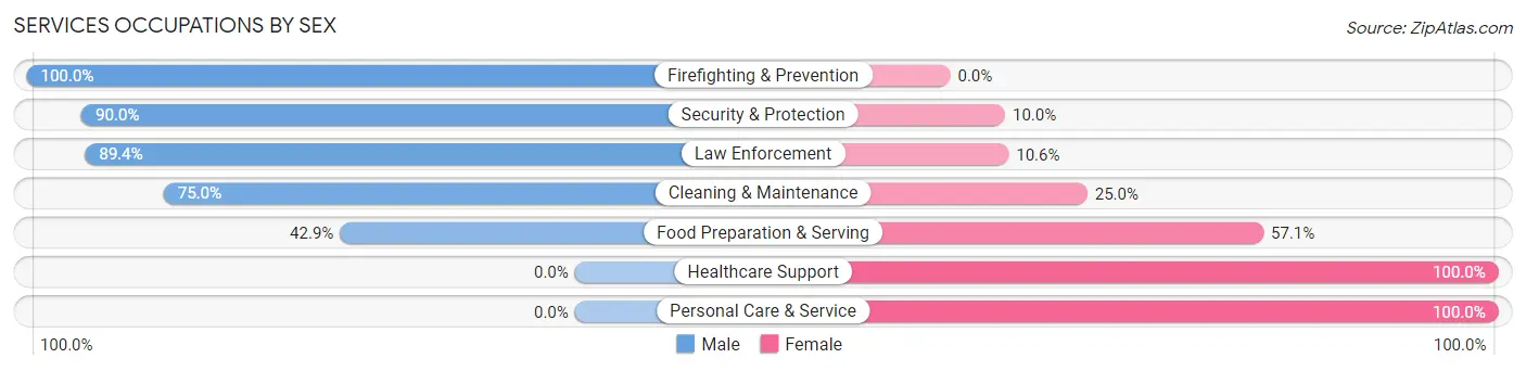 Services Occupations by Sex in Zip Code 12935