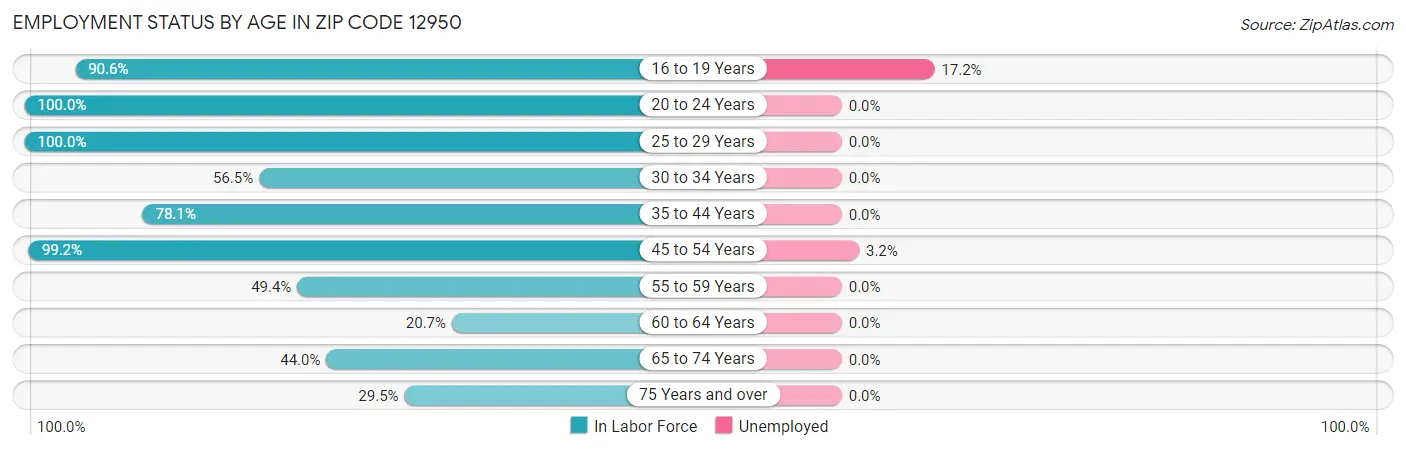 Employment Status by Age in Zip Code 12950