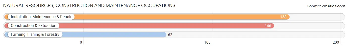 Natural Resources, Construction and Maintenance Occupations in Zip Code 12953