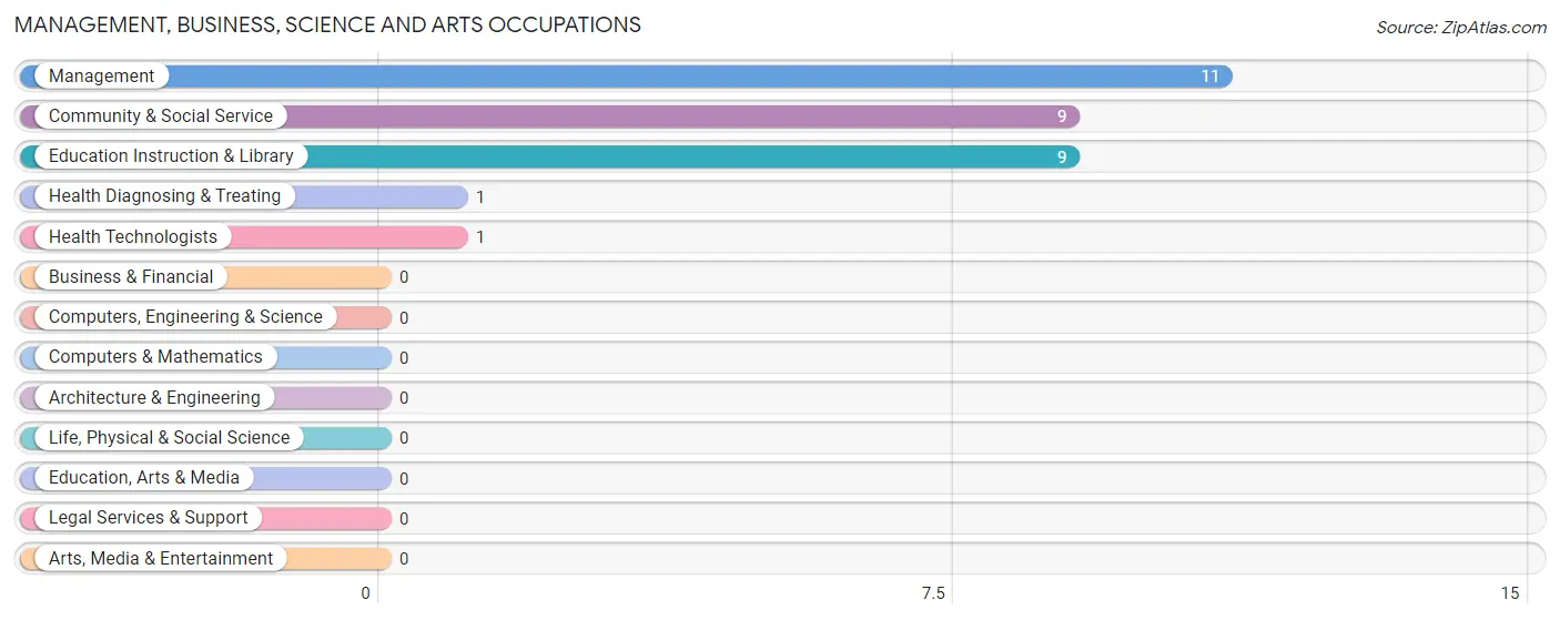 Management, Business, Science and Arts Occupations in Zip Code 12965