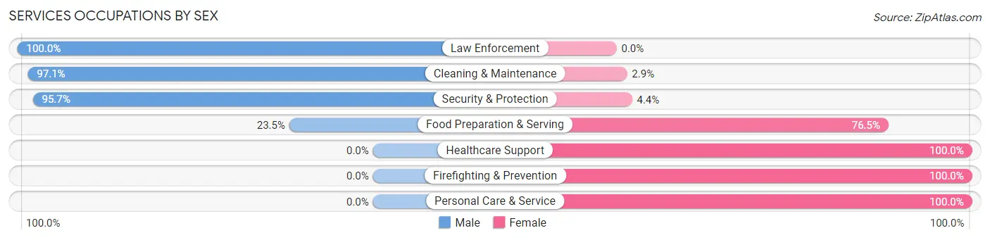 Services Occupations by Sex in Zip Code 12979