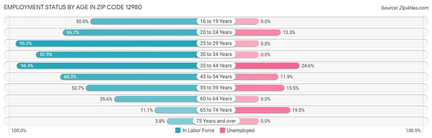 Employment Status by Age in Zip Code 12980