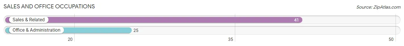 Sales and Office Occupations in Zip Code 12980