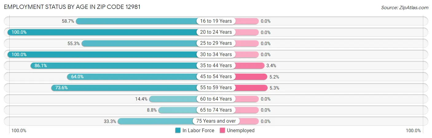 Employment Status by Age in Zip Code 12981