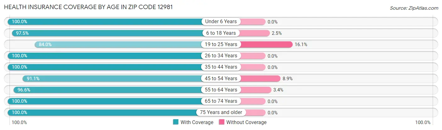 Health Insurance Coverage by Age in Zip Code 12981