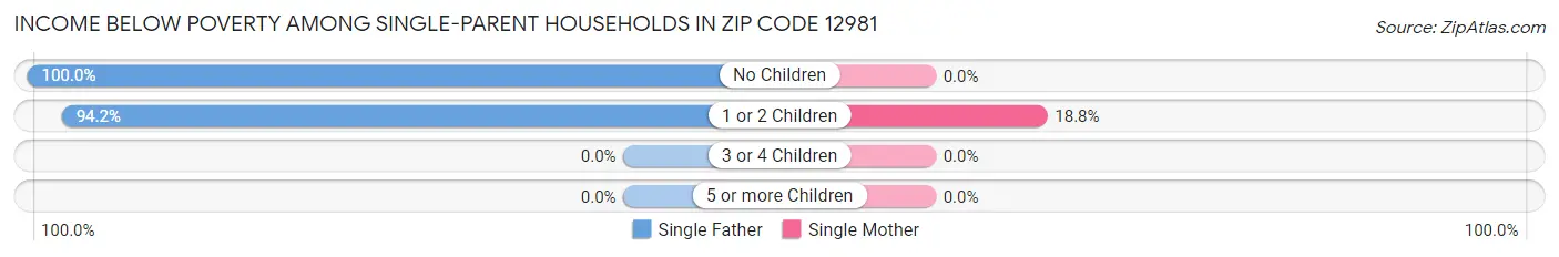 Income Below Poverty Among Single-Parent Households in Zip Code 12981