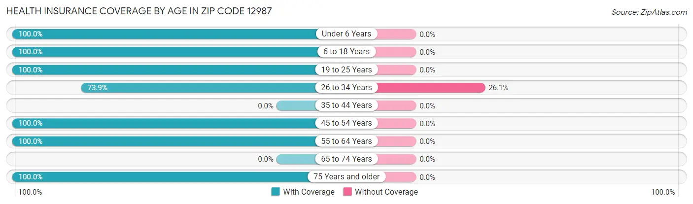 Health Insurance Coverage by Age in Zip Code 12987