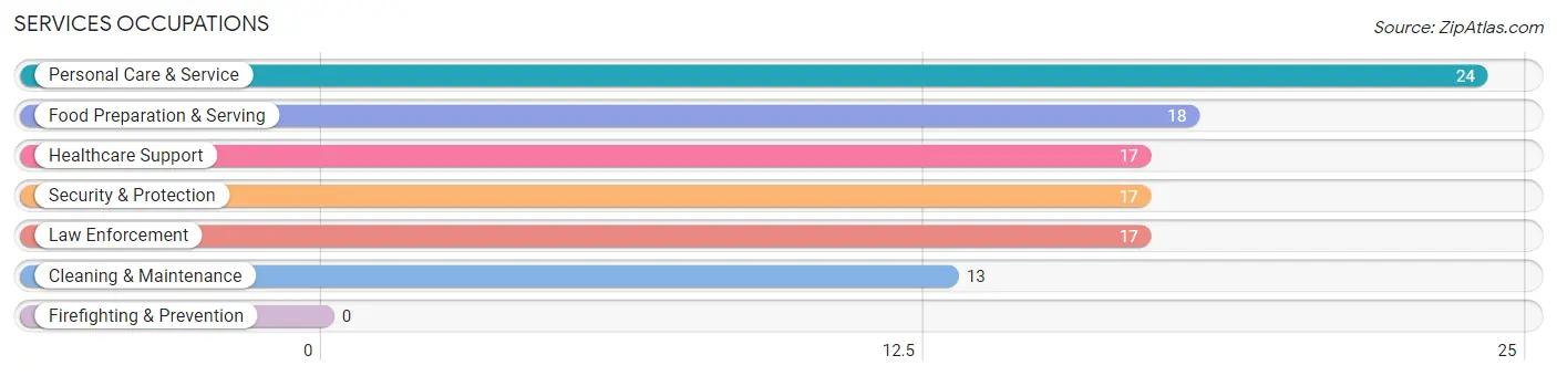 Services Occupations in Zip Code 12989