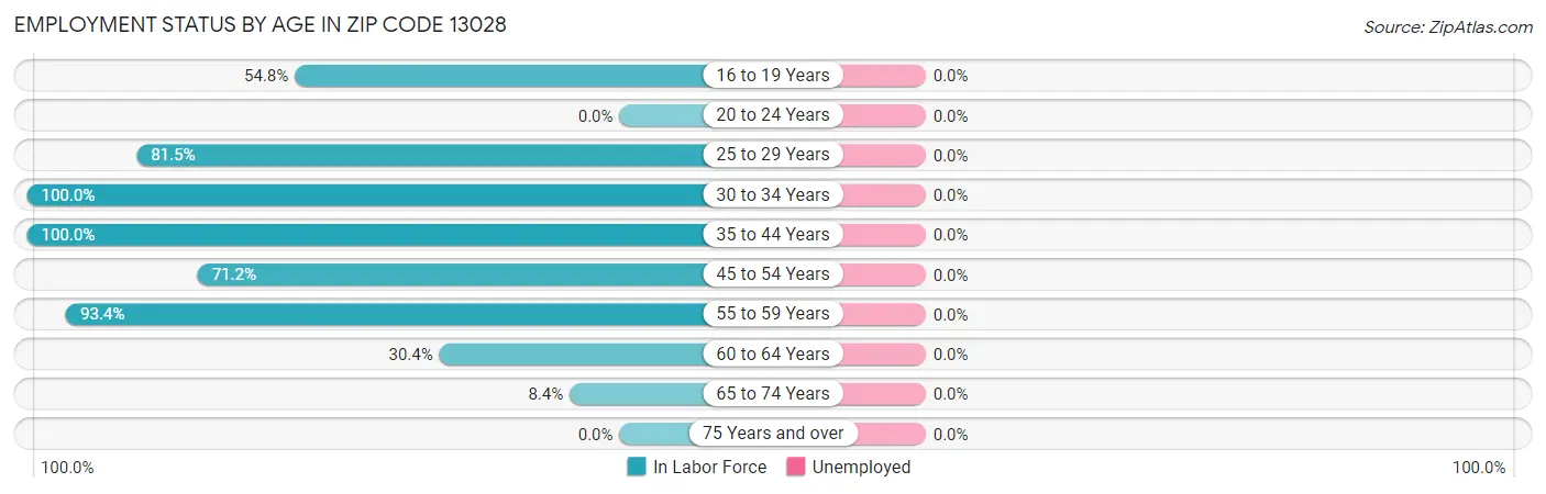 Employment Status by Age in Zip Code 13028