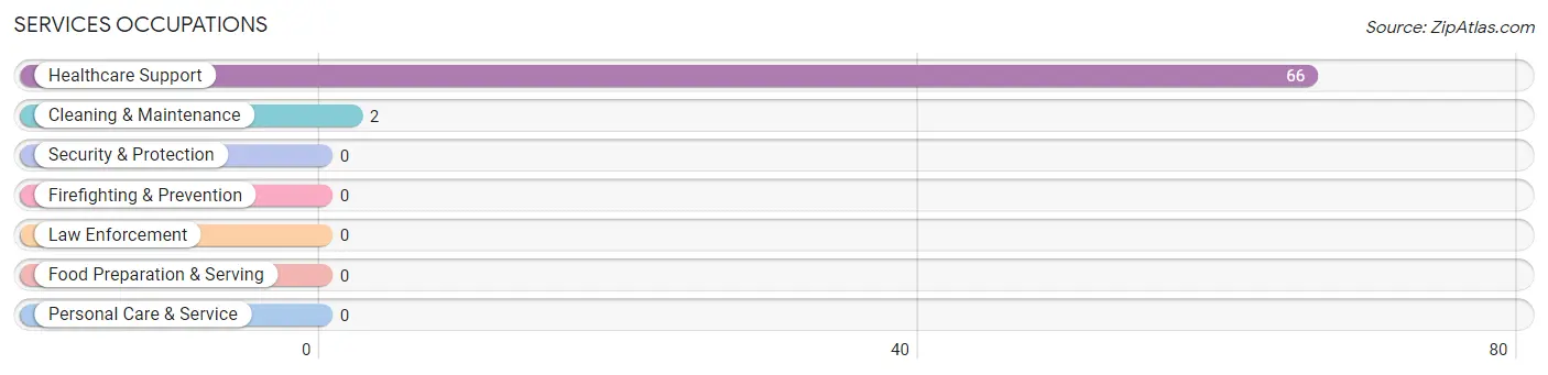 Services Occupations in Zip Code 13028