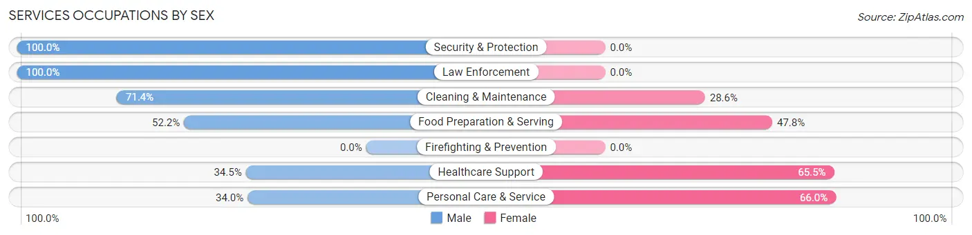 Services Occupations by Sex in Zip Code 13030