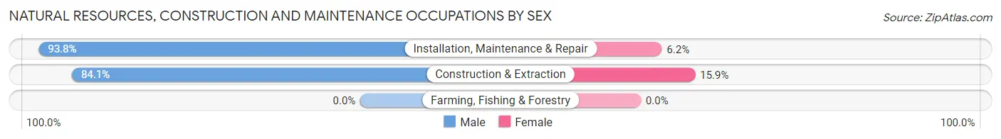 Natural Resources, Construction and Maintenance Occupations by Sex in Zip Code 13031