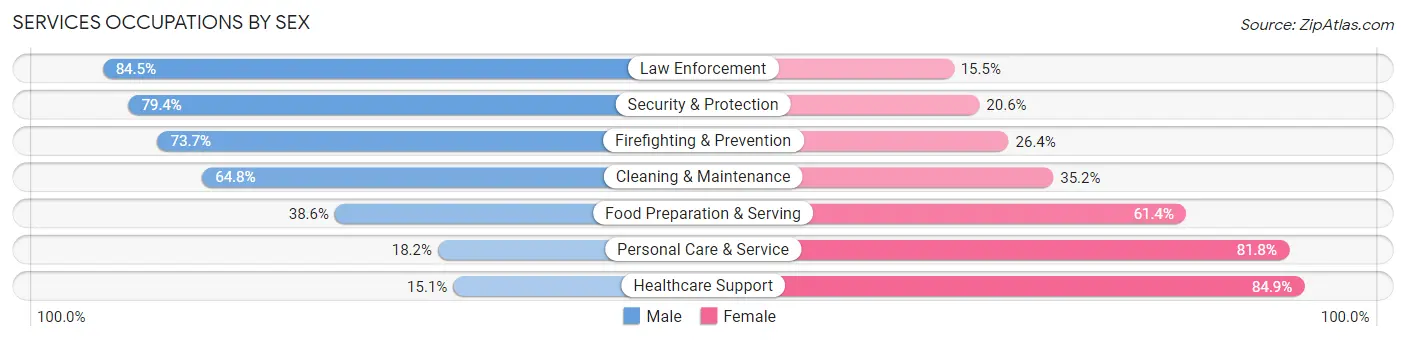 Services Occupations by Sex in Zip Code 13031