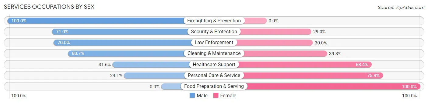 Services Occupations by Sex in Zip Code 13034