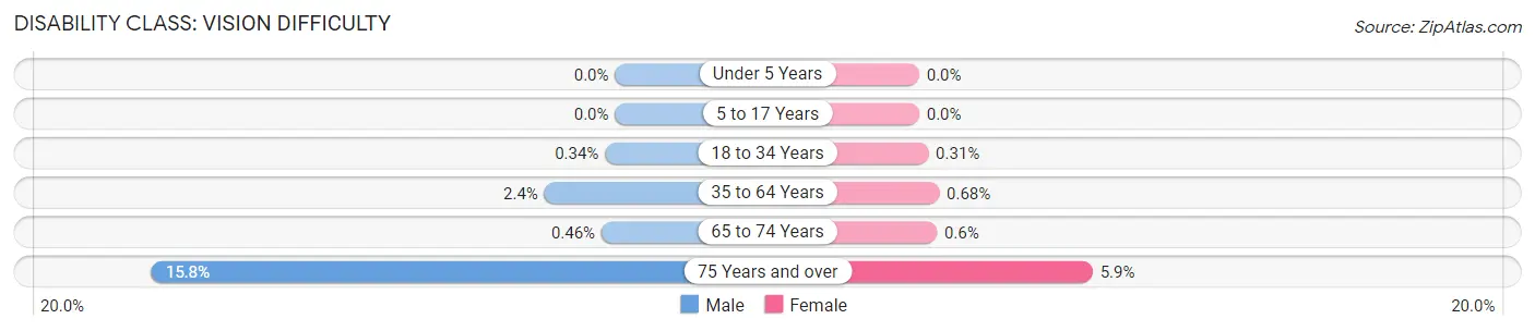 Disability in Zip Code 13035: <span>Vision Difficulty</span>