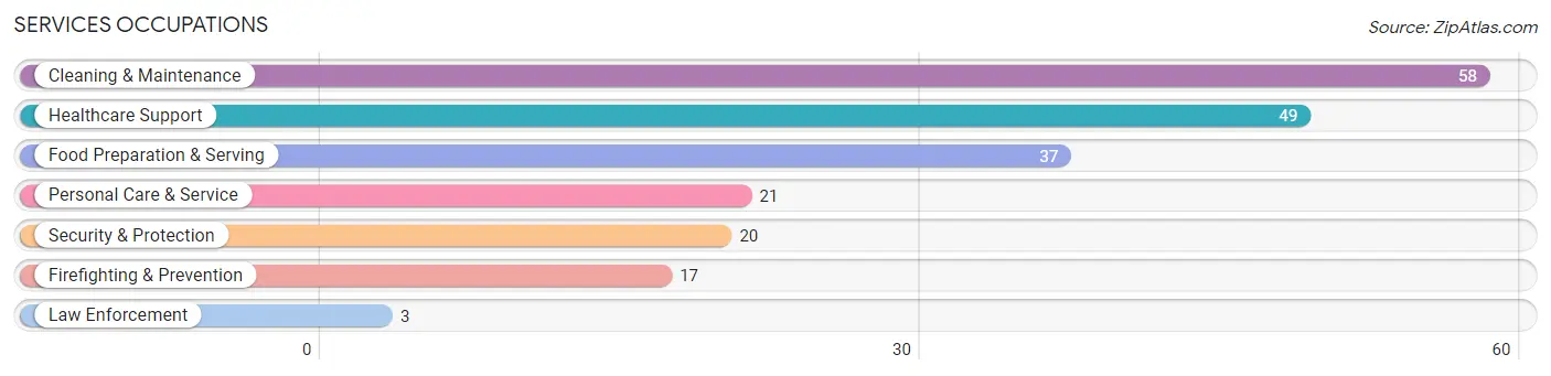 Services Occupations in Zip Code 13040